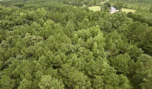 Photo #5 of SOLD property in Off 1607 SR, Warrenton, NC 5.0 acres