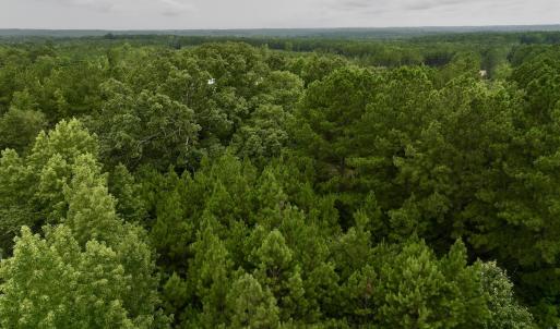 Photo #6 of SOLD property in Off 1607 SR, Warrenton, NC 5.0 acres