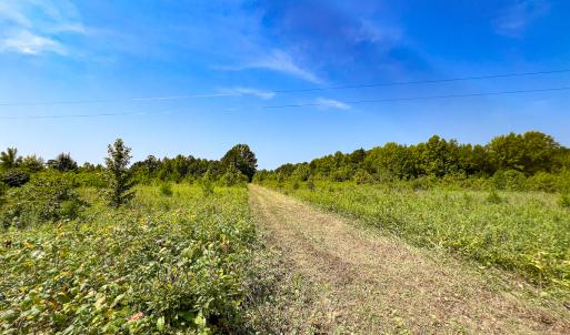 Photo #3 of SOLD property in  Off Cedar Bluff Road, Boydton, VA 105.2 acres