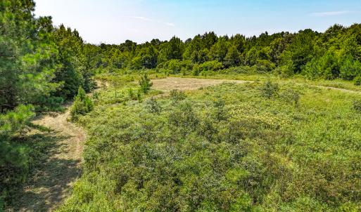 Photo #9 of SOLD property in  Off Cedar Bluff Road, Boydton, VA 105.2 acres