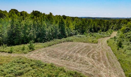 Photo #10 of SOLD property in  Off Cedar Bluff Road, Boydton, VA 105.2 acres
