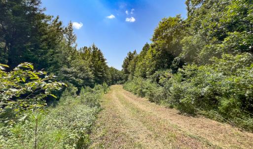 Photo #13 of SOLD property in  Off Cedar Bluff Road, Boydton, VA 105.2 acres