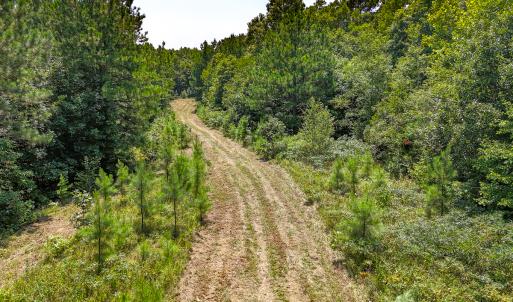 Photo #14 of SOLD property in  Off Cedar Bluff Road, Boydton, VA 105.2 acres