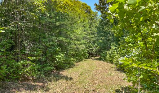 Photo #15 of SOLD property in  Off Cedar Bluff Road, Boydton, VA 105.2 acres