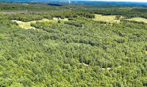Photo #17 of SOLD property in  Off Cedar Bluff Road, Boydton, VA 105.2 acres