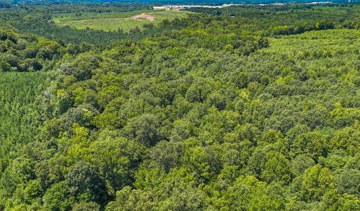 Photo #19 of SOLD property in  Off Cedar Bluff Road, Boydton, VA 105.2 acres