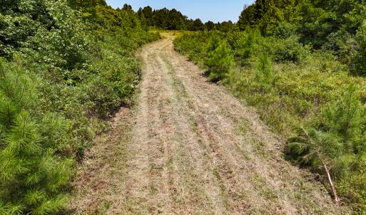 Photo #20 of SOLD property in  Off Cedar Bluff Road, Boydton, VA 105.2 acres
