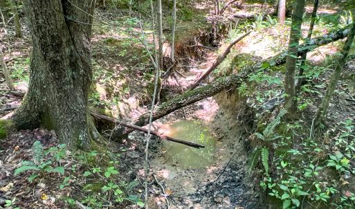 Photo #23 of SOLD property in  Off Cedar Bluff Road, Boydton, VA 105.2 acres