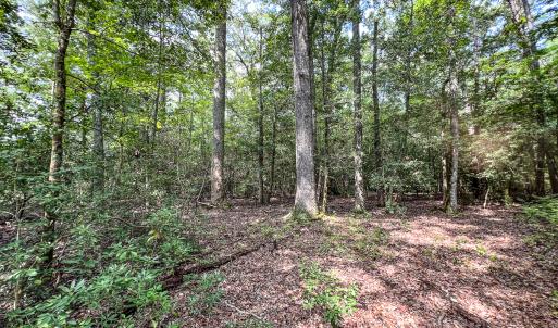 Photo #24 of SOLD property in  Off Cedar Bluff Road, Boydton, VA 105.2 acres