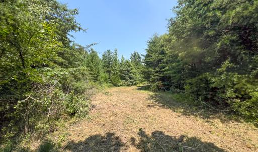 Photo #26 of SOLD property in  Off Cedar Bluff Road, Boydton, VA 105.2 acres