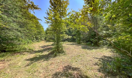 Photo #29 of SOLD property in  Off Cedar Bluff Road, Boydton, VA 105.2 acres