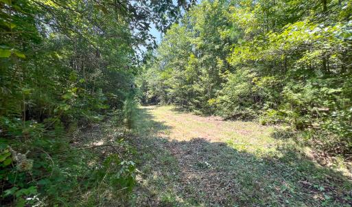 Photo #30 of SOLD property in  Off Cedar Bluff Road, Boydton, VA 105.2 acres