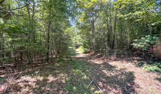 Photo #31 of SOLD property in  Off Cedar Bluff Road, Boydton, VA 105.2 acres