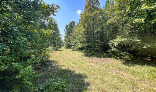 Photo #32 of SOLD property in  Off Cedar Bluff Road, Boydton, VA 105.2 acres