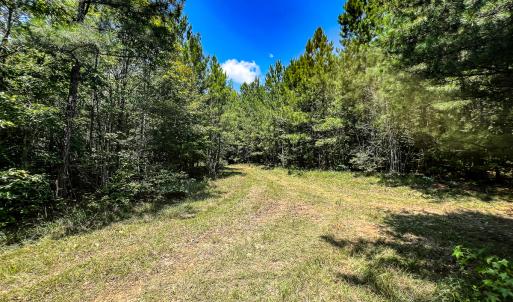 Photo #33 of SOLD property in  Off Cedar Bluff Road, Boydton, VA 105.2 acres