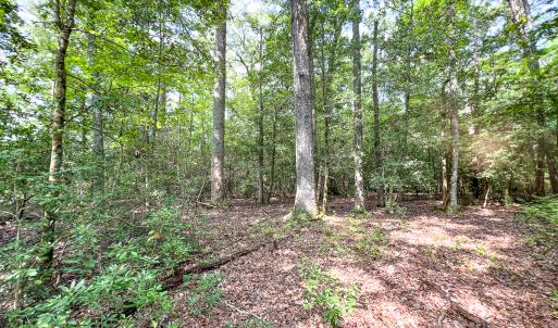Photo #34 of SOLD property in  Off Cedar Bluff Road, Boydton, VA 105.2 acres