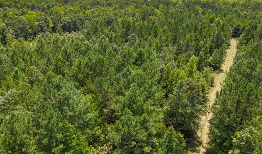 Photo #41 of SOLD property in  Off Cedar Bluff Road, Boydton, VA 105.2 acres