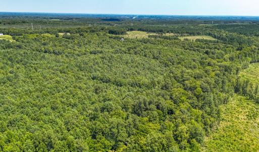 Photo #45 of SOLD property in  Off Cedar Bluff Road, Boydton, VA 105.2 acres