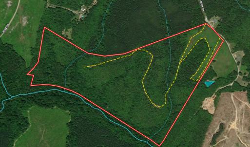 Photo #1 of SOLD property in  Off Cedar Bluff Road, Boydton, VA 105.2 acres