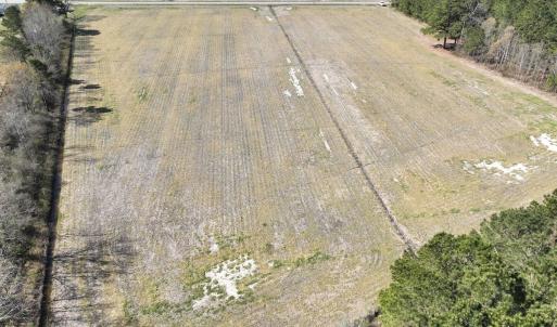 Photo #3 of SOLD property in Off Sladesville Credle Road, Scranton, NC 7.7 acres