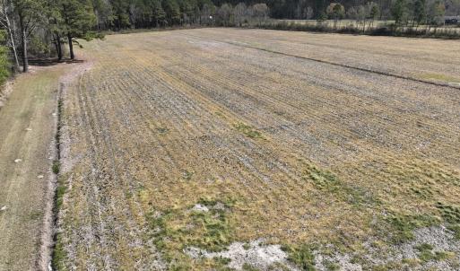Photo #4 of SOLD property in Off Sladesville Credle Road, Scranton, NC 7.7 acres