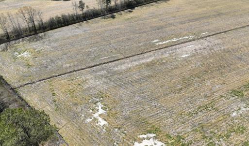 Photo #10 of SOLD property in Off Sladesville Credle Road, Scranton, NC 7.7 acres