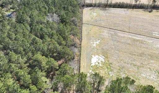 Photo #11 of SOLD property in Off Sladesville Credle Road, Scranton, NC 7.7 acres
