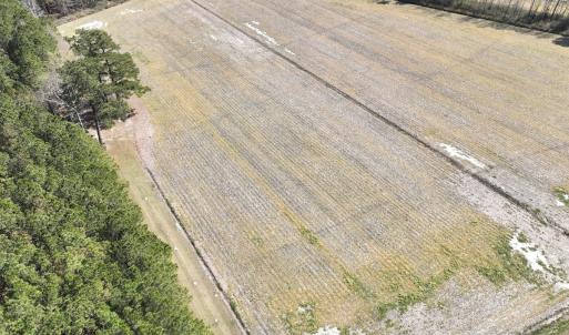 Photo #12 of SOLD property in Off Sladesville Credle Road, Scranton, NC 7.7 acres