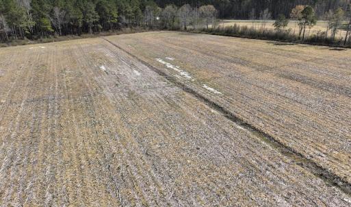 Photo #13 of SOLD property in Off Sladesville Credle Road, Scranton, NC 7.7 acres