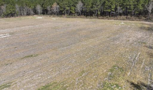 Photo #14 of SOLD property in Off Sladesville Credle Road, Scranton, NC 7.7 acres