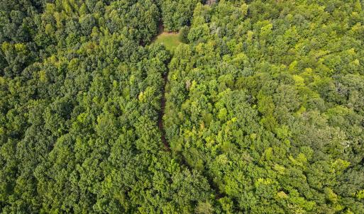 Photo #11 of SOLD property in OFF Deer Haven Dr, Callands, VA 74.5 acres