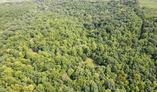 Photo #15 of SOLD property in OFF Deer Haven Dr, Callands, VA 74.5 acres