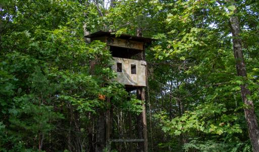 Photo #18 of SOLD property in OFF Deer Haven Dr, Callands, VA 74.5 acres