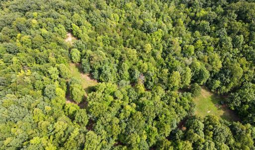 Photo #19 of SOLD property in OFF Deer Haven Dr, Callands, VA 74.5 acres