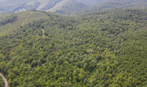 Photo #2 of SOLD property in OFF Deer Haven Dr, Callands, VA 74.5 acres