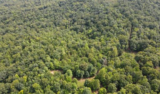 Photo #20 of SOLD property in OFF Deer Haven Dr, Callands, VA 74.5 acres