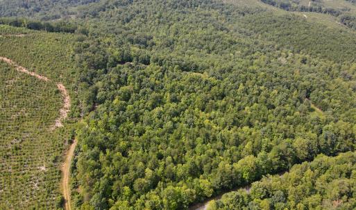 Photo #4 of SOLD property in OFF Deer Haven Dr, Callands, VA 74.5 acres