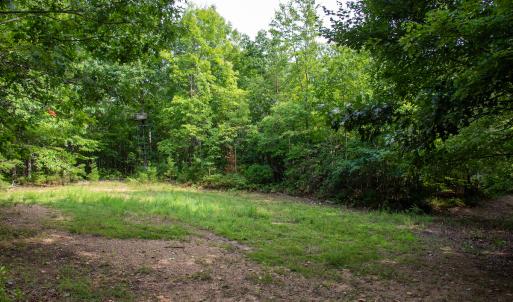 Photo #21 of SOLD property in OFF Deer Haven Dr, Callands, VA 74.5 acres