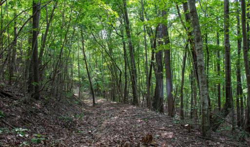 Photo #23 of SOLD property in OFF Deer Haven Dr, Callands, VA 74.5 acres