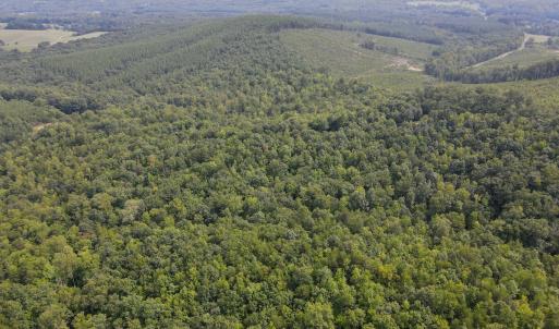 Photo #26 of SOLD property in OFF Deer Haven Dr, Callands, VA 74.5 acres