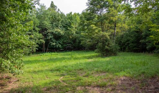Photo #29 of SOLD property in OFF Deer Haven Dr, Callands, VA 74.5 acres