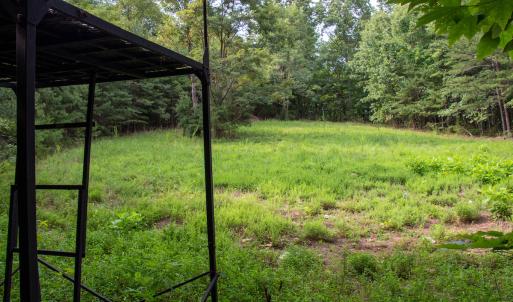 Photo #30 of SOLD property in OFF Deer Haven Dr, Callands, VA 74.5 acres