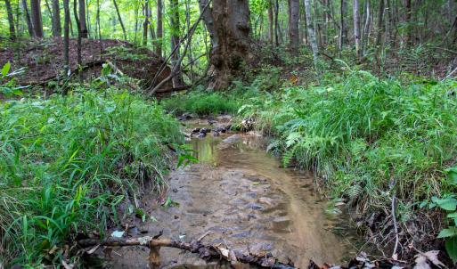 Photo #32 of SOLD property in OFF Deer Haven Dr, Callands, VA 74.5 acres