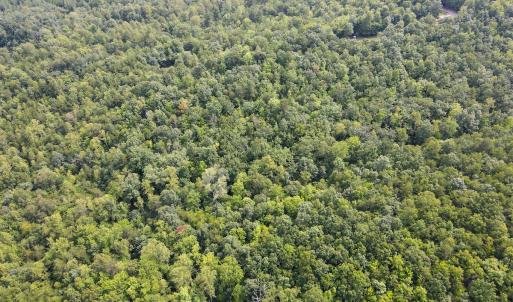 Photo #33 of SOLD property in OFF Deer Haven Dr, Callands, VA 74.5 acres