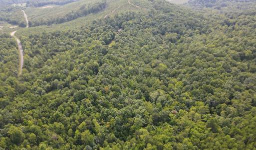 Photo #34 of SOLD property in OFF Deer Haven Dr, Callands, VA 74.5 acres