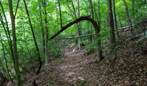 Photo #10 of SOLD property in Off Nicole Dr, Martinsville, VA 35.1 acres