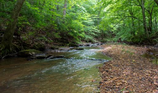 Photo #11 of SOLD property in Off Nicole Dr, Martinsville, VA 35.1 acres