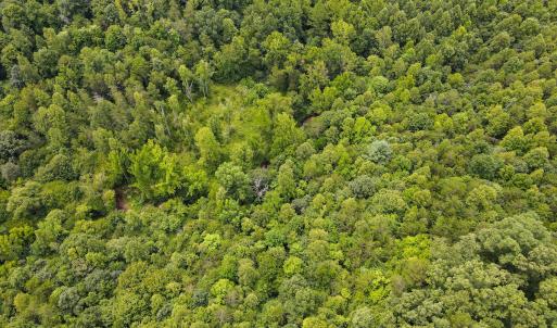 Photo #12 of SOLD property in Off Nicole Dr, Martinsville, VA 35.1 acres