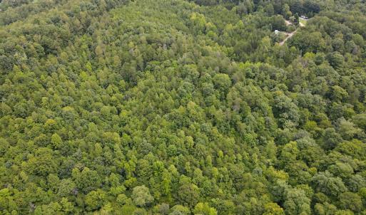 Photo #13 of SOLD property in Off Nicole Dr, Martinsville, VA 35.1 acres
