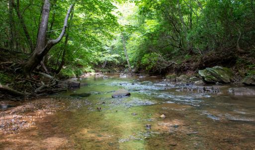 Photo #16 of SOLD property in Off Nicole Dr, Martinsville, VA 35.1 acres